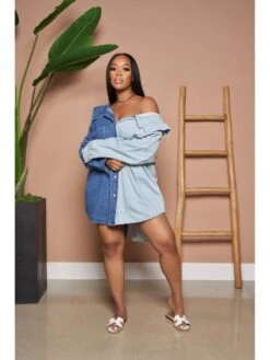 Casual Contrast Color Turndown Collar Long Sleeve Denim Dress