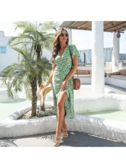 Vacation Printed V Neck Short Sleeve Long Dress -Women's Clothing Shop P 20220509142438050 383