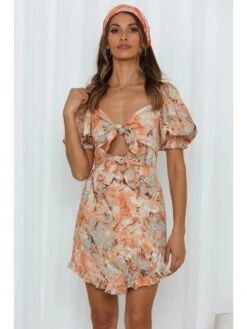 Sexy Print Lantern Sleeve Ruffle Dress -Women's Clothing Shop P 20220602125844562 805