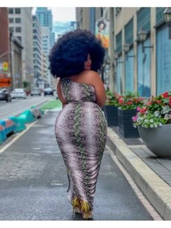 Women's One Shoulder Snake Print Plus Size Dress -Women's Clothing Shop P 20220711201809620 917