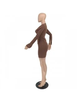 2022 Sexy Zipper Coffee Long Sleeve Dress -Women's Clothing Shop P 20221207142958002 284
