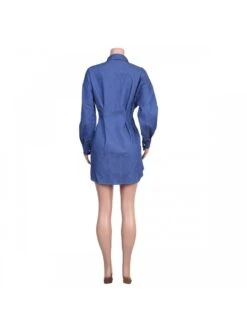 Casual Blue Long Sleeve Dress -Women's Clothing Shop P 20221214141542824 461