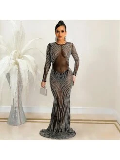 Mesh Perspective Long Sleeve Dress