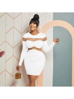 Pure Color Long Sleeve Round Neck Mesh Dress