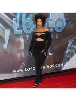 Off Shoulder Hollow Out Long Sleeve Maxi Dress -Women's Clothing Shop P 20231120164519382 695