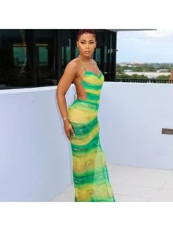 See Through Tie-wrap Lace-Up Backless Maxi Dress -Women's Clothing Shop P 20240123113815641 774