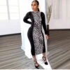 Leopard Printed Long Sleeves Maxi Dress