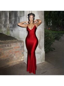 V Neck Backless Fitted Maxi Dress