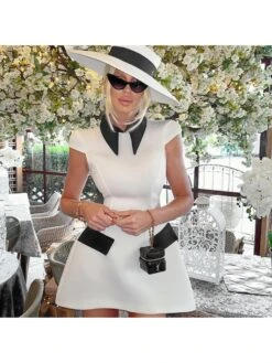 Colorblock Collar Short Sleeve Dress