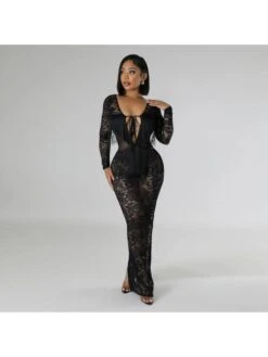 See Through Lace Backless Long Sleeves Dress