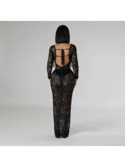 See Through Lace Backless Long Sleeves Dress -Women's Clothing Shop P 20240523085503779 447