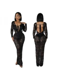 See Through Lace Backless Long Sleeves Dress -Women's Clothing Shop P 20240523085504442 479