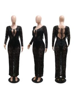 See Through Lace Backless Long Sleeves Dress -Women's Clothing Shop P 20240523085506511 545