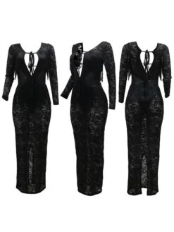 See Through Lace Backless Long Sleeves Dress -Women's Clothing Shop P 20240523085508699 976