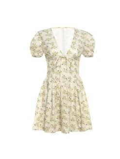 Ruched V Neck A-line Short Sleeve Mini Dress -Women's Clothing Shop P 20240603134024693 614