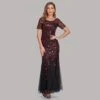 Embroidery Sequin Short Sleeve Mermaid Maxi Dress -Women's Clothing Shop P 20240612102424001 159